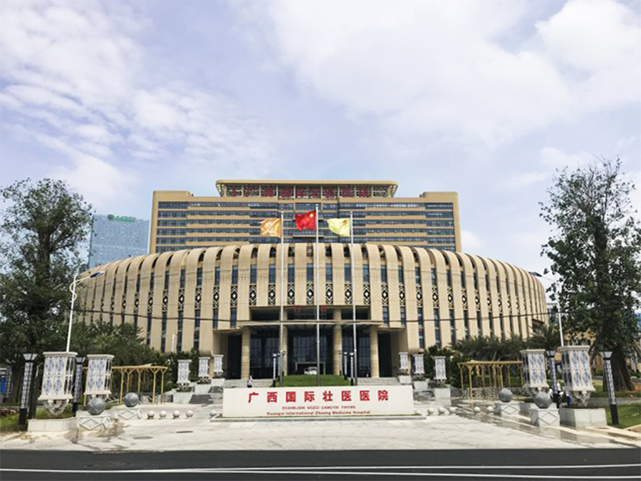 驚艷亮相|和佳股份為廣西60周年獻禮工程畫像